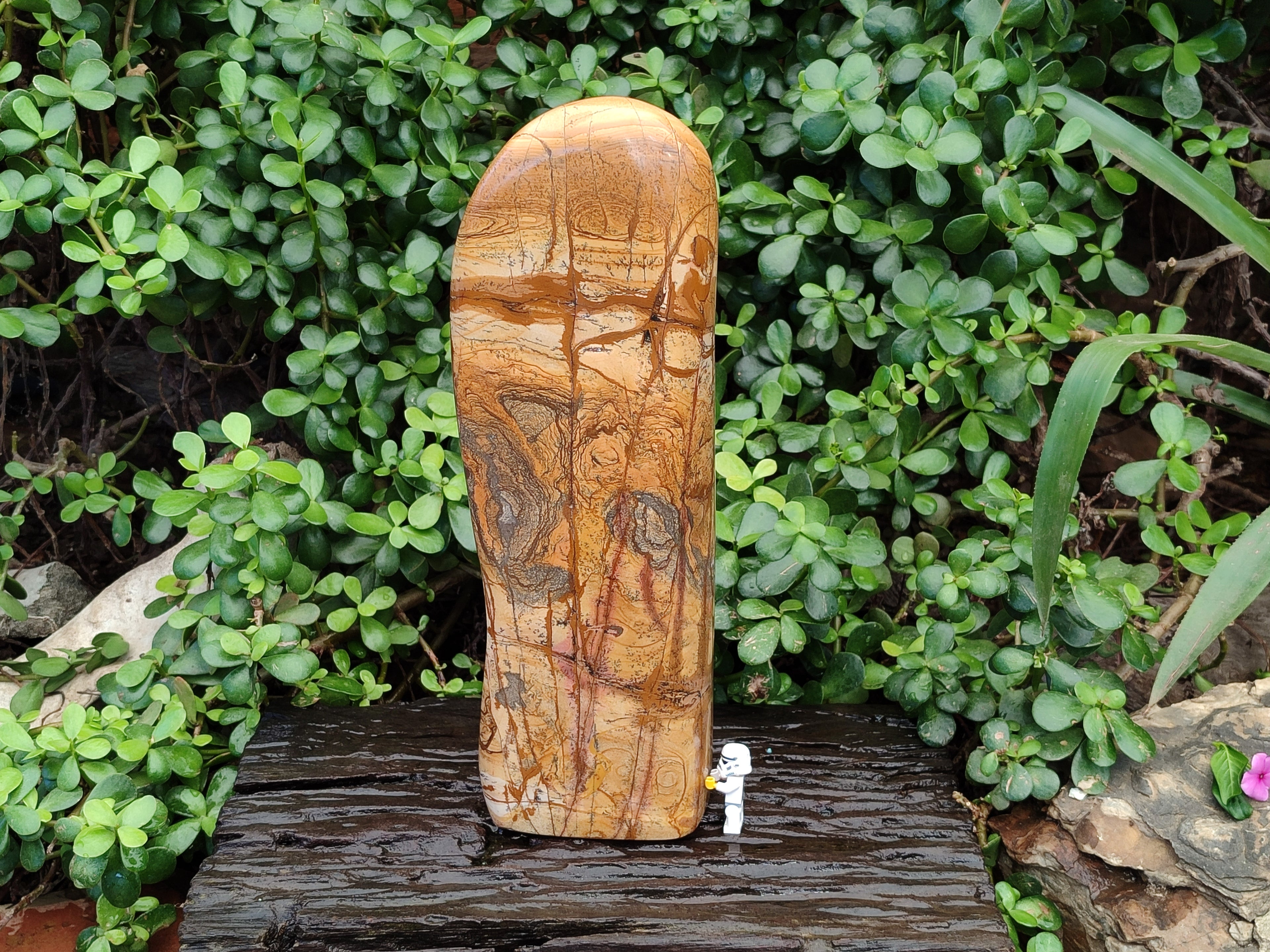 Polished Picture Stone Jasper Standing Free Form x 1 From Ais-Ais, Namibia - Toprock Gemstones and Minerals 