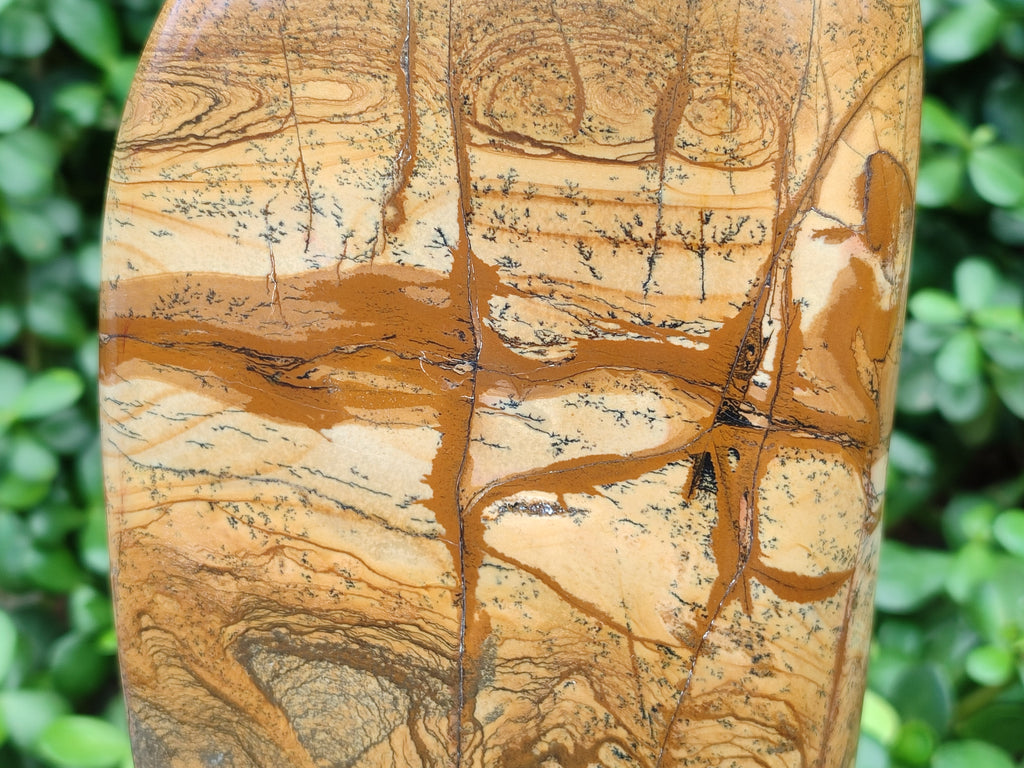 Polished Picture Stone Jasper Standing Free Form x 1 From Ais-Ais, Namibia - Toprock Gemstones and Minerals 