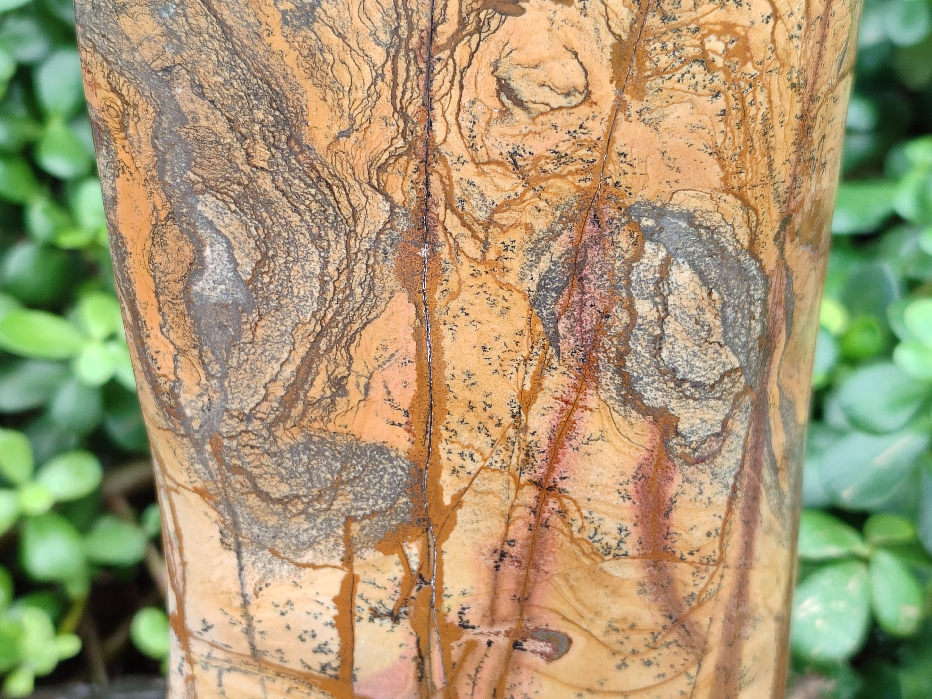 Polished Picture Stone Jasper Standing Free Form x 1 From Ais-Ais, Namibia - Toprock Gemstones and Minerals 