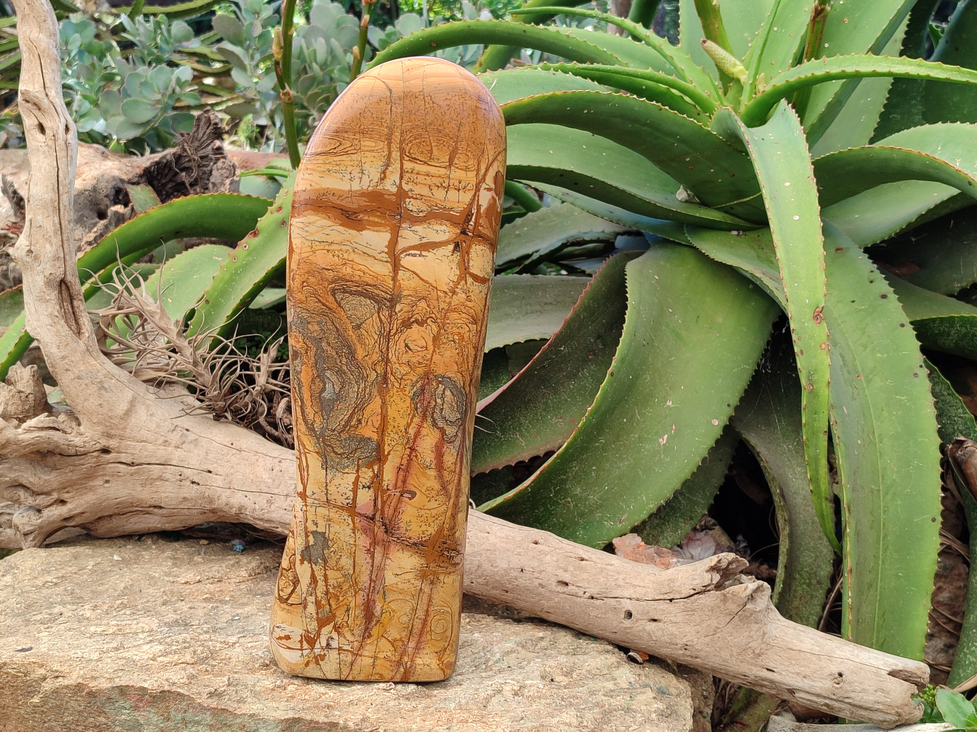 Polished Picture Stone Jasper Standing Free Form x 1 From Ais-Ais, Namibia - Toprock Gemstones and Minerals 