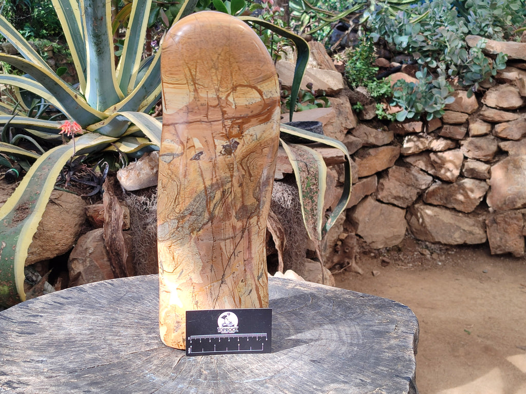 Polished Picture Stone Jasper Standing Free Form x 1 From Ais-Ais, Namibia - Toprock Gemstones and Minerals 