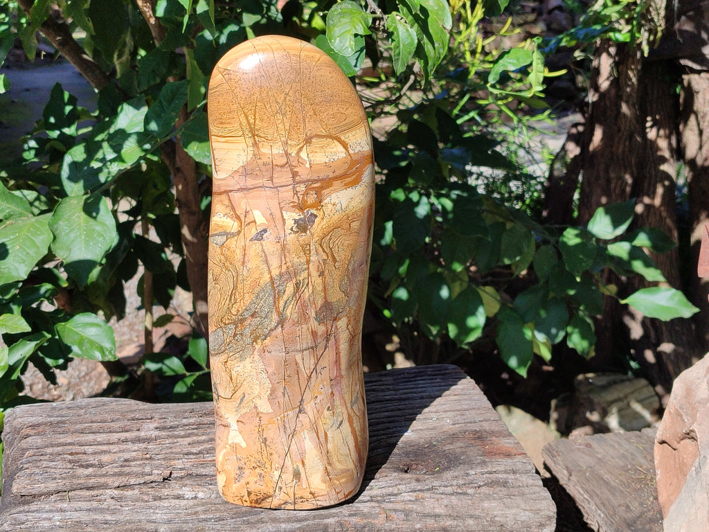 Polished Picture Stone Jasper Standing Free Form x 1 From Ais-Ais, Namibia - Toprock Gemstones and Minerals 