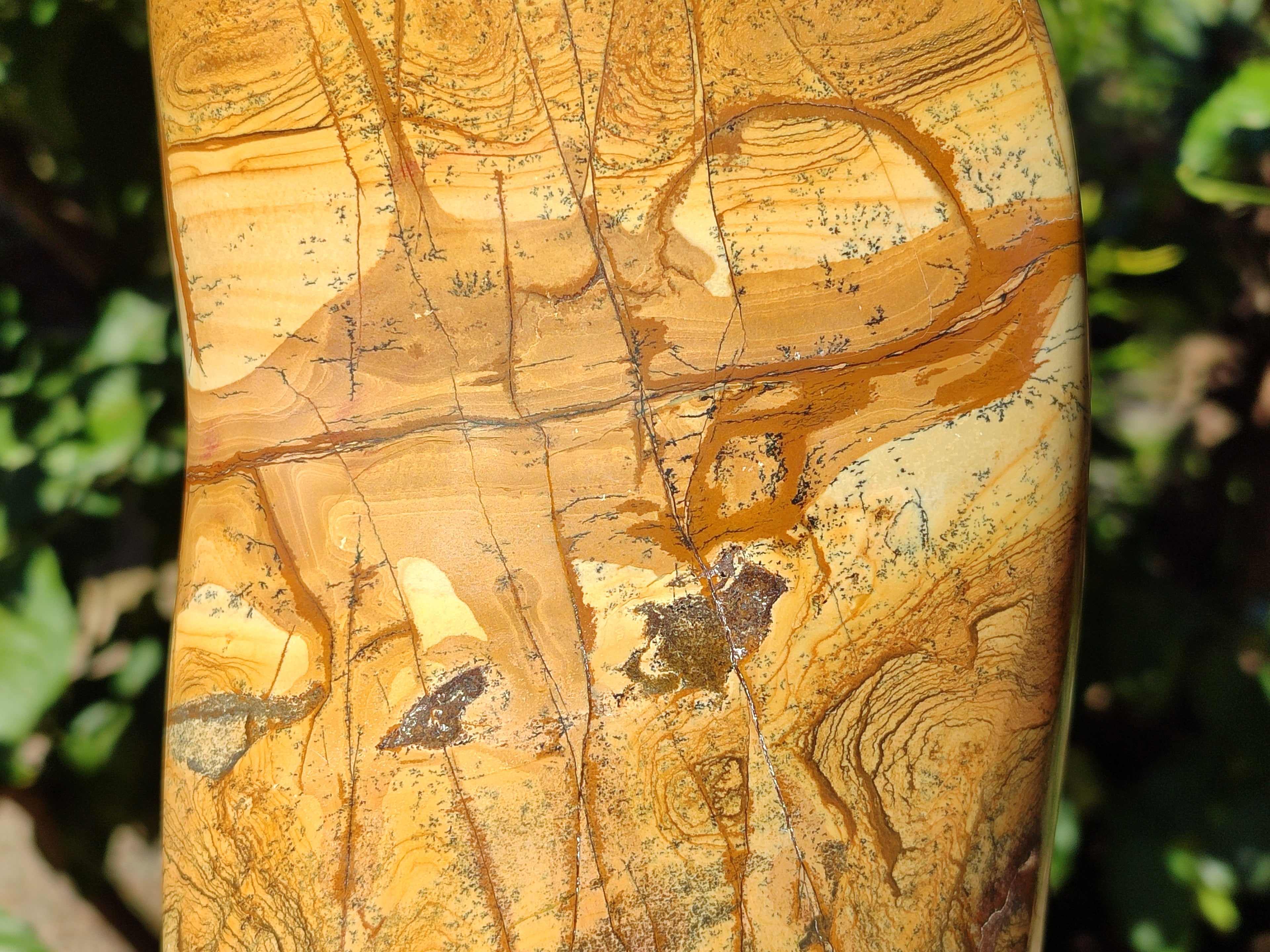 Polished Picture Stone Jasper Standing Free Form x 1 From Ais-Ais, Namibia - Toprock Gemstones and Minerals 