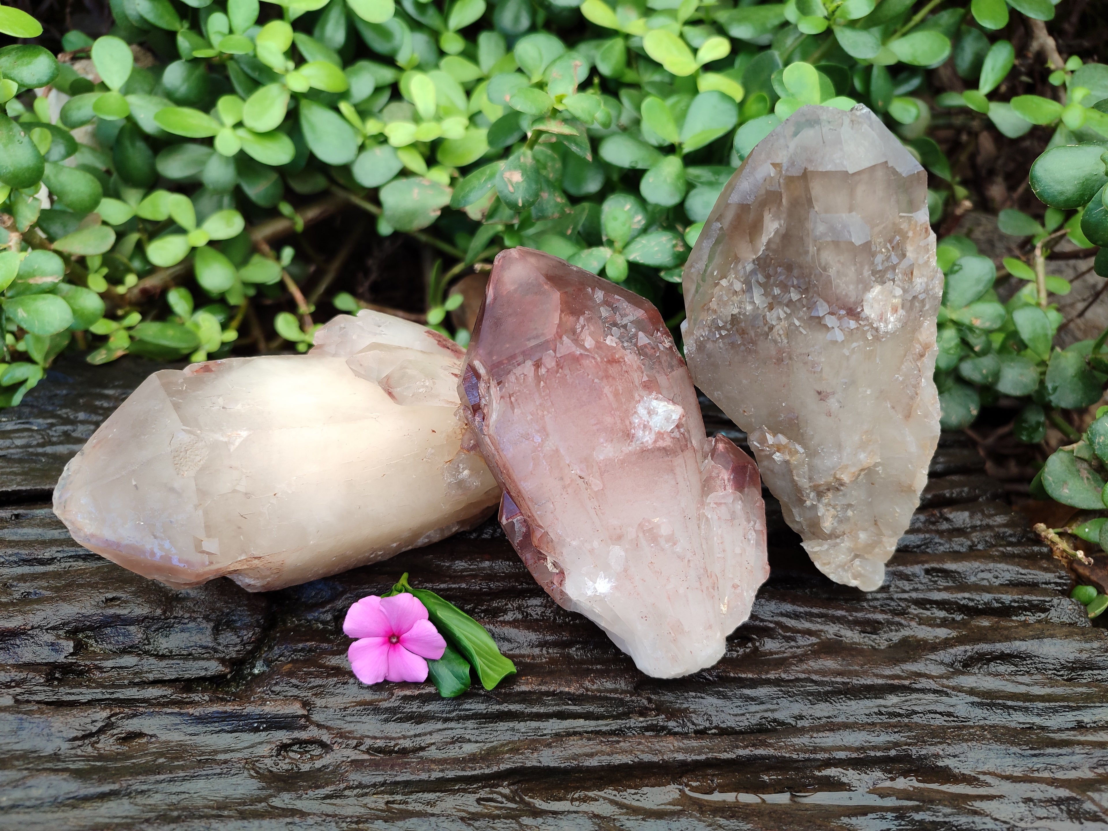 Natural Red Hematoid Quartz Clusters x 3 From Karoi, Zimbabwe - Toprock Gemstones and Minerals 