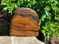 Polished Golden River Tigers Eye Standing Free Forms x 2 From Prieska, South Africa - Toprock Gemstones and Minerals 
