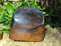 Polished Golden River Tigers Eye Standing Free Forms x 2 From Prieska, South Africa - Toprock Gemstones and Minerals 