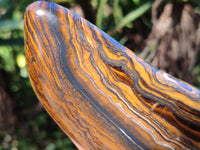 Polished Golden River Tigers Eye Standing Free Forms x 2 From Prieska, South Africa - Toprock Gemstones and Minerals 