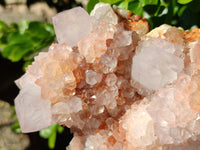 Natural Hematoid Orange and Lilac Spirit Quartz Cluster x 1 From South Africa - Toprock Gemstones and Minerals 