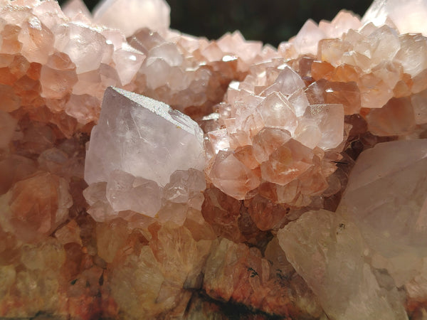 Natural Hematoid Orange and Lilac Spirit Quartz Cluster x 1 From South Africa