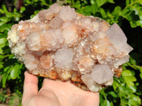 Natural Hematoid Orange and Lilac Spirit Quartz Cluster x 1 From South Africa - Toprock Gemstones and Minerals 
