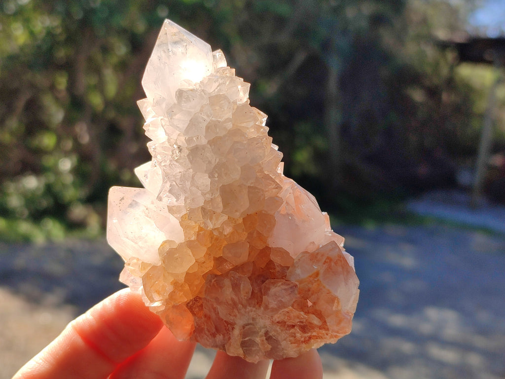 Natural Lilac Cactus Spirit Quartz Clusters x 6 From South Africa - Toprock Gemstones and Minerals 