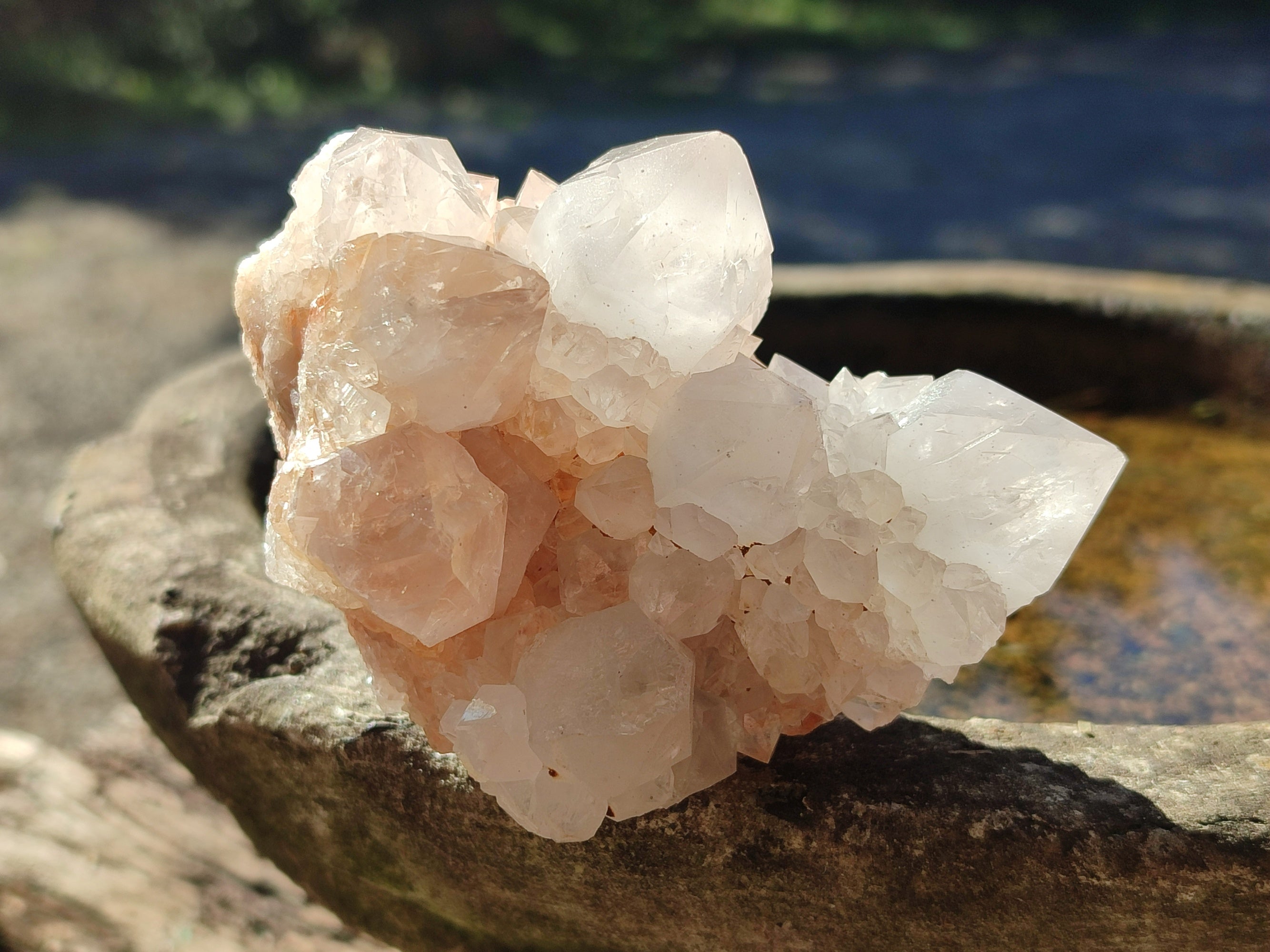 Natural Lilac Cactus Spirit Quartz Clusters x 6 From South Africa - Toprock Gemstones and Minerals 