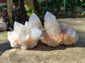 Natural Lilac Cactus Spirit Quartz Clusters x 6 From South Africa - Toprock Gemstones and Minerals 