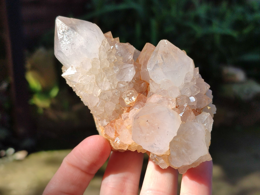 Natural Lilac Cactus Spirit Quartz Clusters x 6 From South Africa - Toprock Gemstones and Minerals 