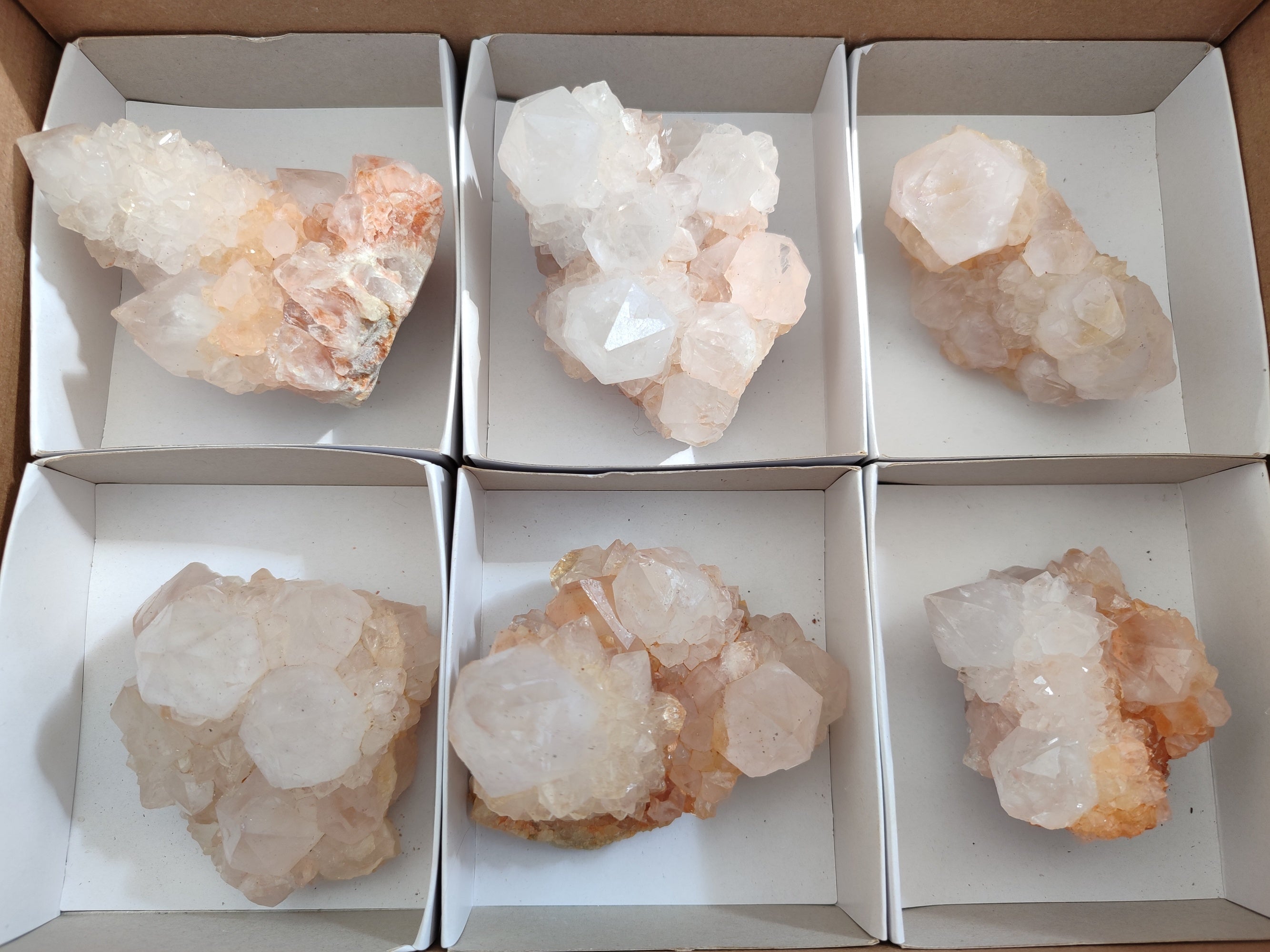 Natural Lilac Cactus Spirit Quartz Clusters x 6 From South Africa - Toprock Gemstones and Minerals 