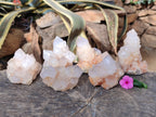 Natural Lilac Cactus Spirit Quartz Clusters x 6 From South Africa - Toprock Gemstones and Minerals 