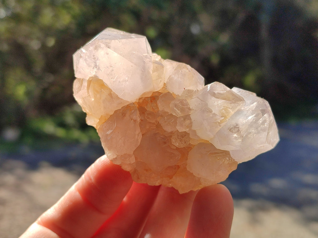 Natural Lilac Cactus Spirit Quartz Clusters x 6 From South Africa - Toprock Gemstones and Minerals 