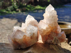 Natural Lilac Cactus Spirit Quartz Clusters x 6 From South Africa - Toprock Gemstones and Minerals 