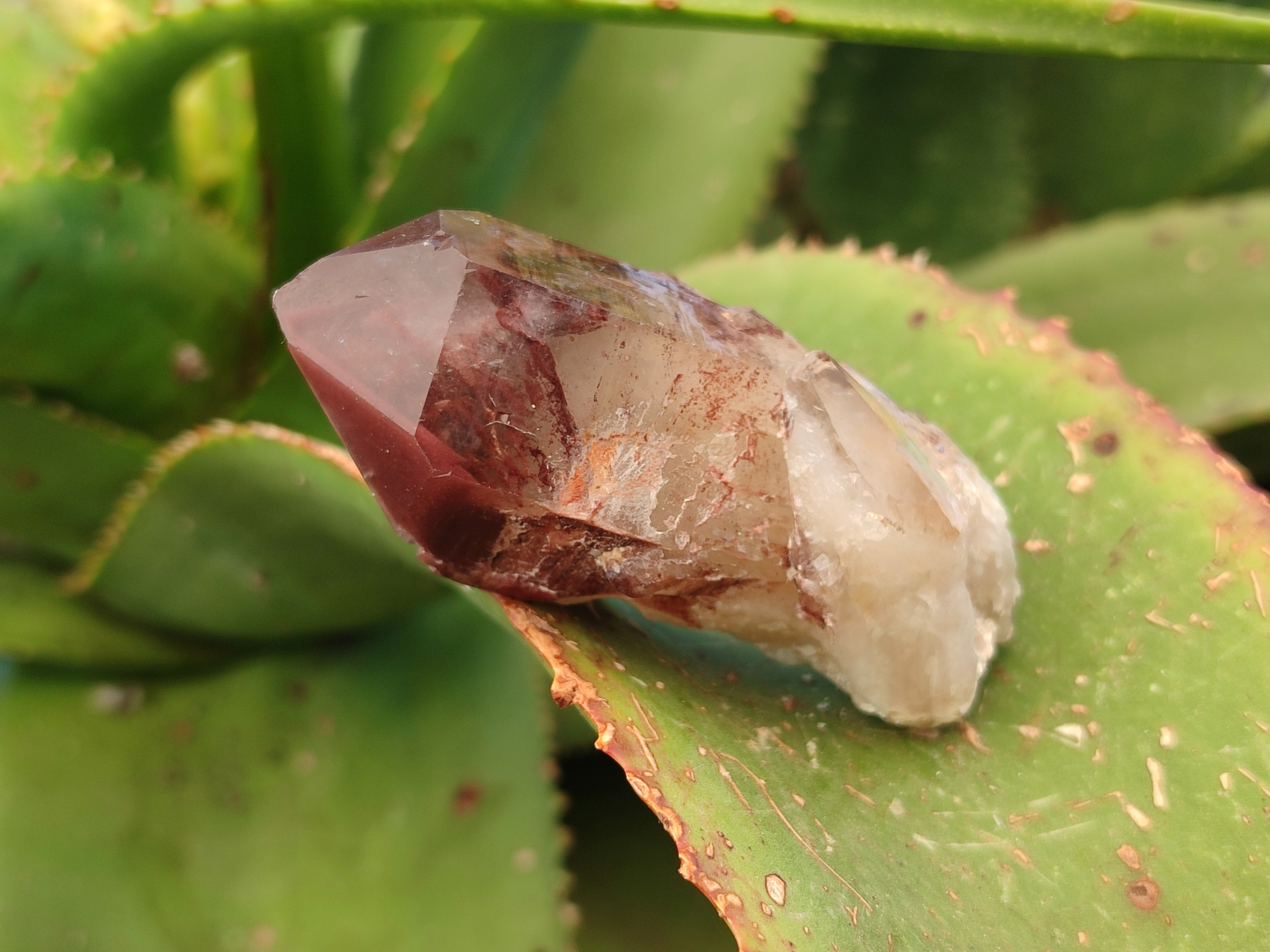 Natural Red Hematoid Quartz Crystals x 12 From Karoi, Zimbabwe - Toprock Gemstones and Minerals 
