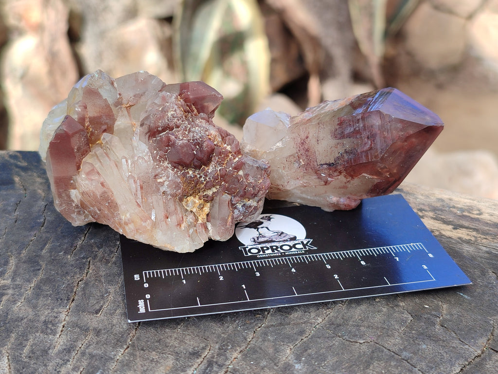 Natural Red Hematoid Quartz Crystals x 12 From Karoi, Zimbabwe - Toprock Gemstones and Minerals 