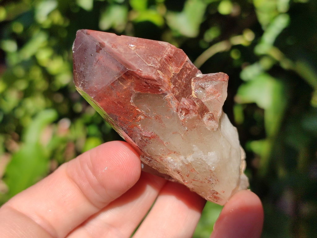 Natural Red Hematoid Quartz Crystals x 12 From Karoi, Zimbabwe - Toprock Gemstones and Minerals 