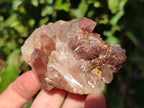 Natural Red Hematoid Quartz Crystals x 12 From Karoi, Zimbabwe - Toprock Gemstones and Minerals 