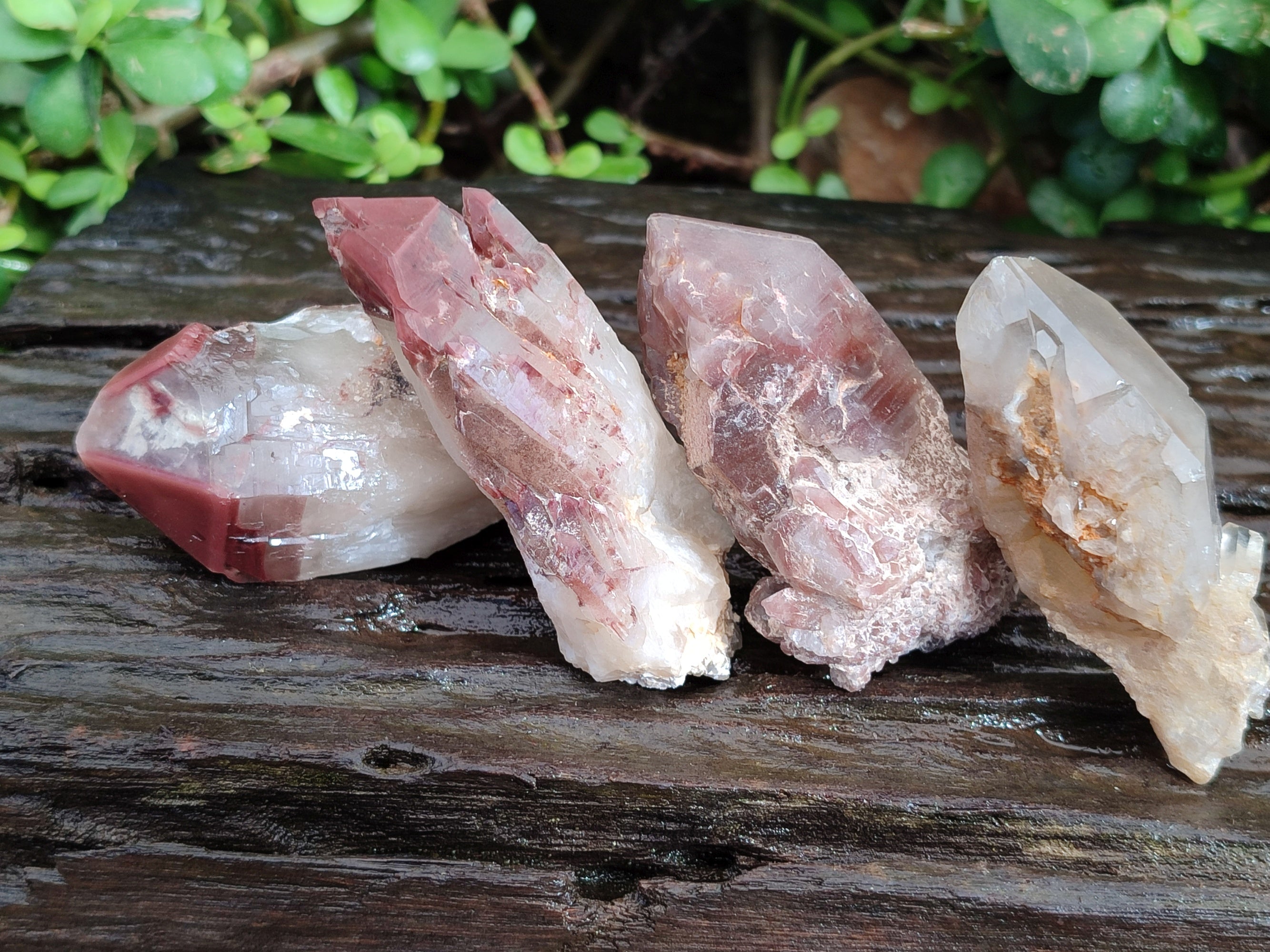 Natural Red Hematoid Quartz Crystals x 12 From Karoi, Zimbabwe - Toprock Gemstones and Minerals 