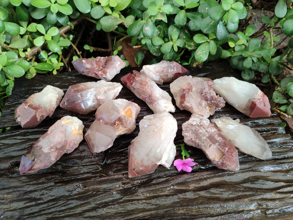 Natural Red Hematoid Quartz Crystals x 12 From Karoi, Zimbabwe - Toprock Gemstones and Minerals 