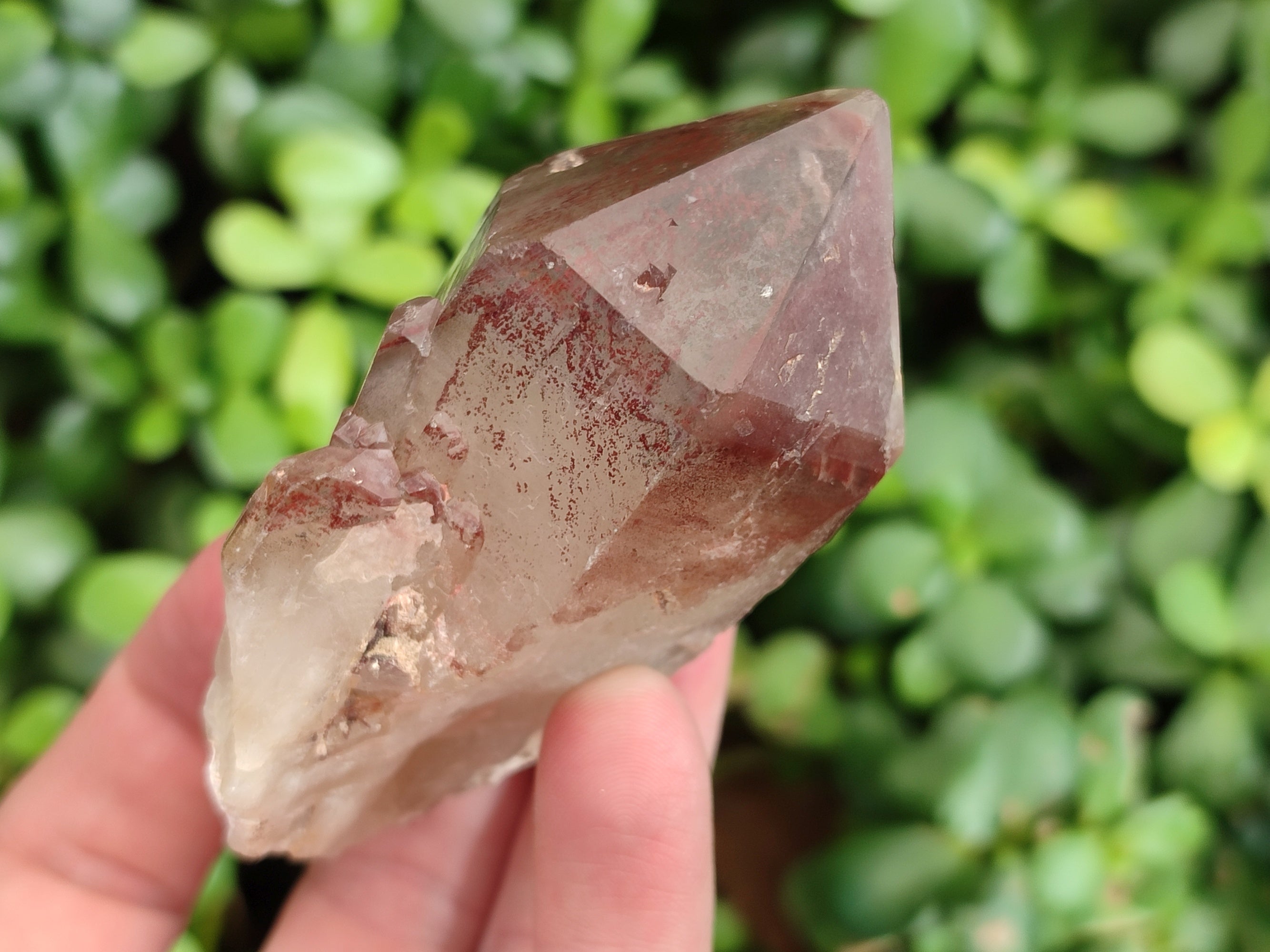 Natural Red Hematoid Quartz Crystals x 12 From Karoi, Zimbabwe - Toprock Gemstones and Minerals 