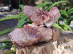 Natural Red Hematoid Quartz Crystals x 12 From Karoi, Zimbabwe - Toprock Gemstones and Minerals 
