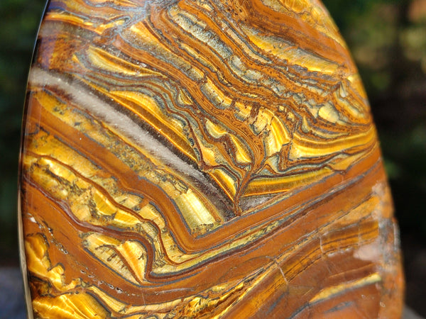 Polished Golden River Tigers Eye Standing Free Forms x 2 From Prieska, South Africa
