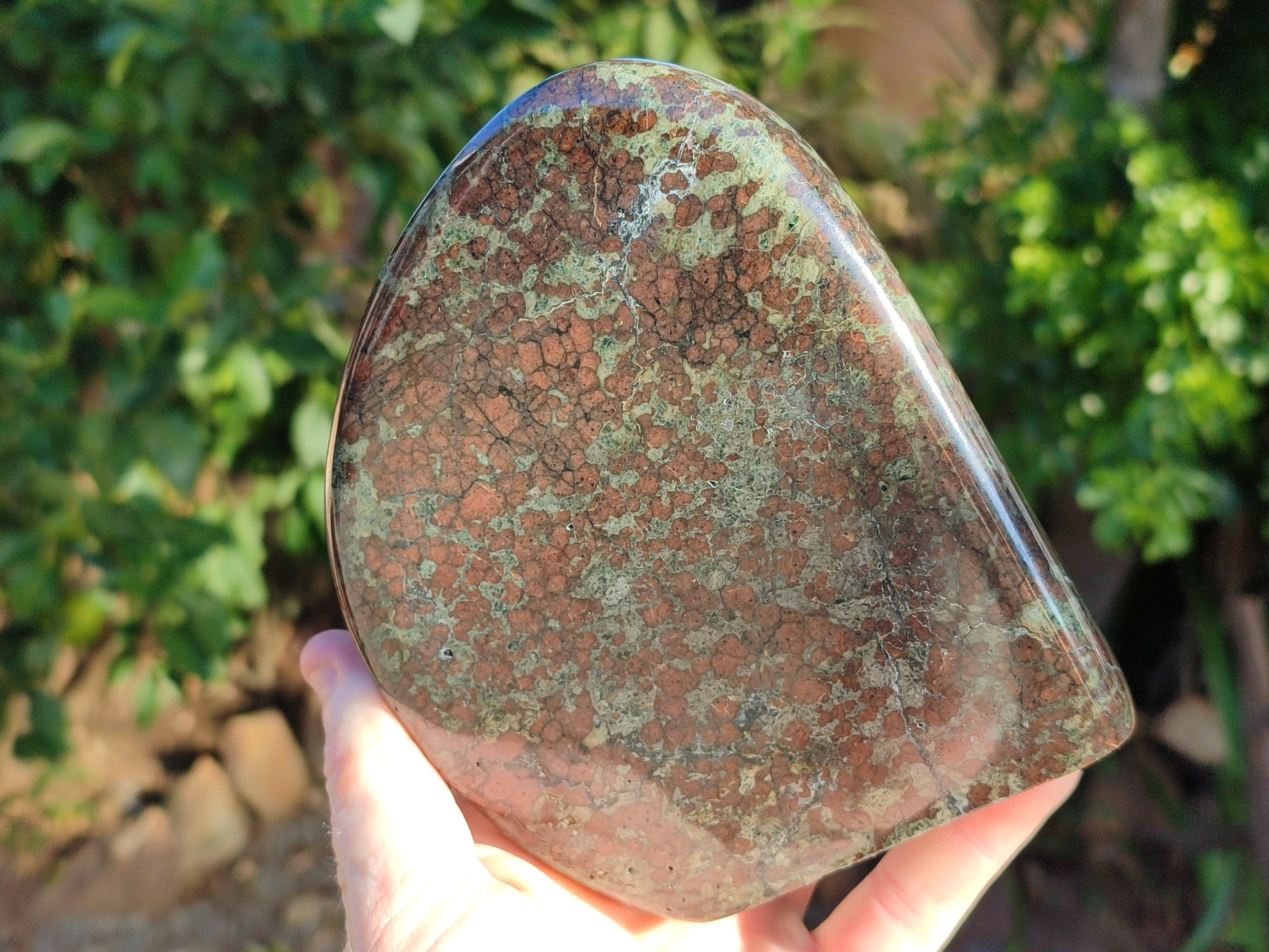 Polished Rare Eclogite Garnet Standing Free Form x 1 From Northern Cape, South Africa - Toprock Gemstones and Minerals 