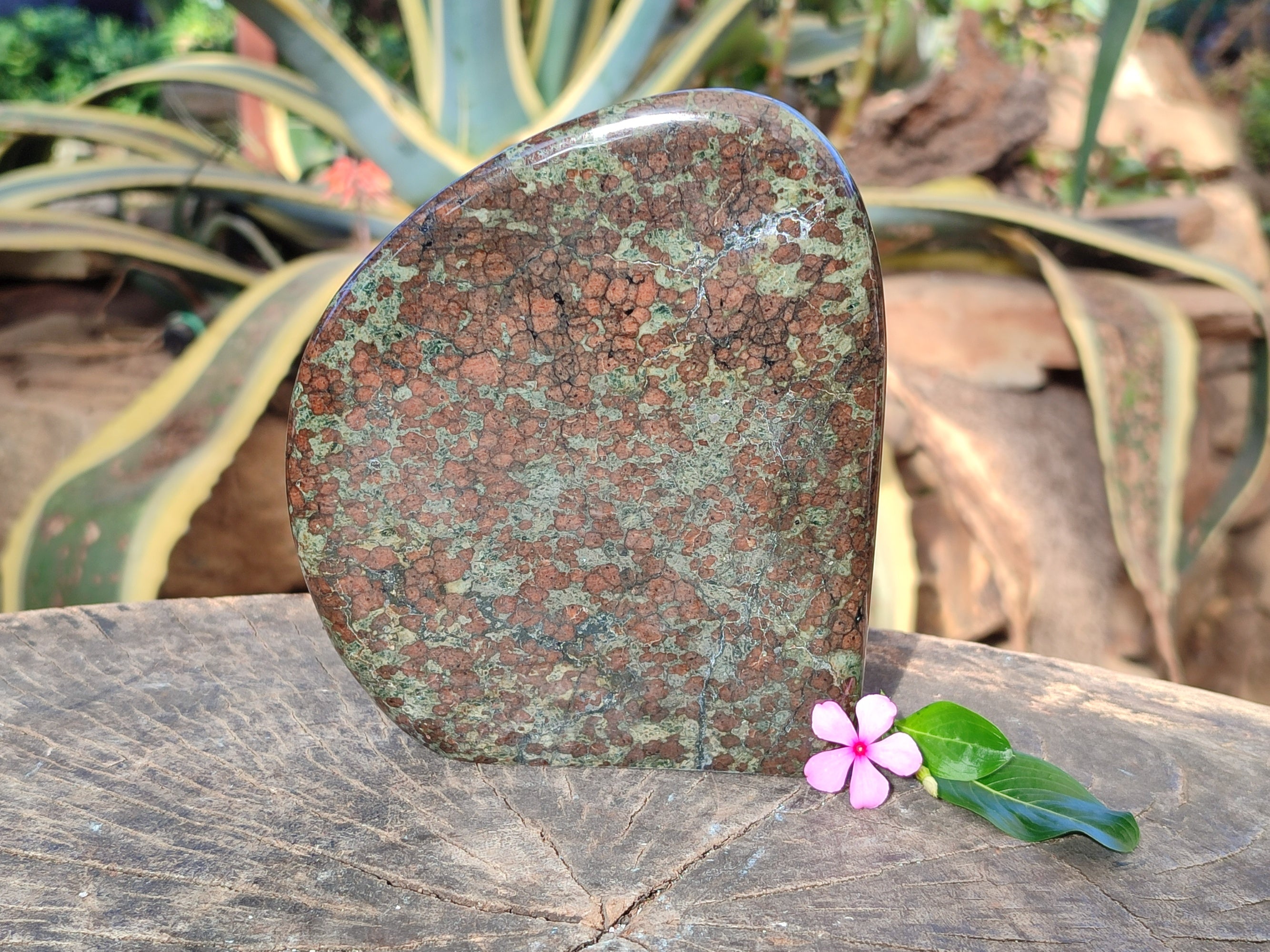 Polished Rare Eclogite Garnet Standing Free Form x 1 From Northern Cape, South Africa - Toprock Gemstones and Minerals 