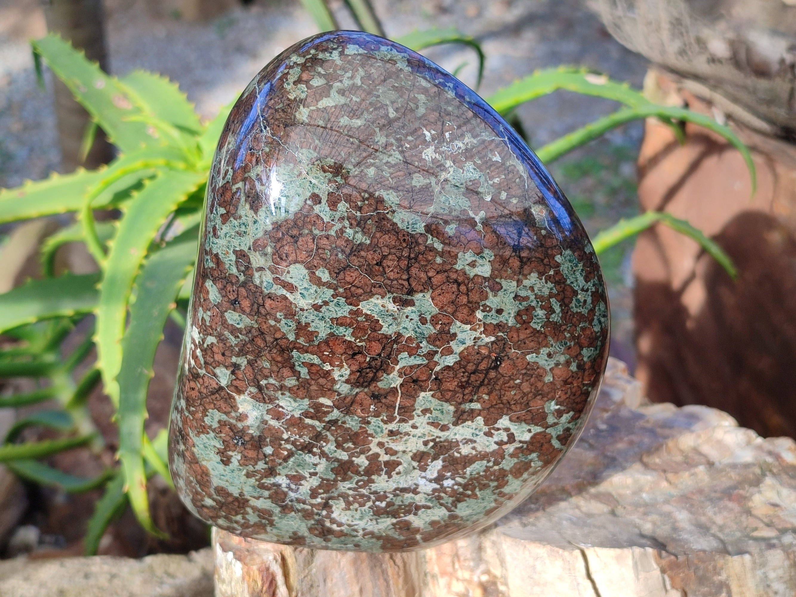 Polished Rare Eclogite Garnet Standing Free Form x 1 From Northern Cape, South Africa - Toprock Gemstones and Minerals 