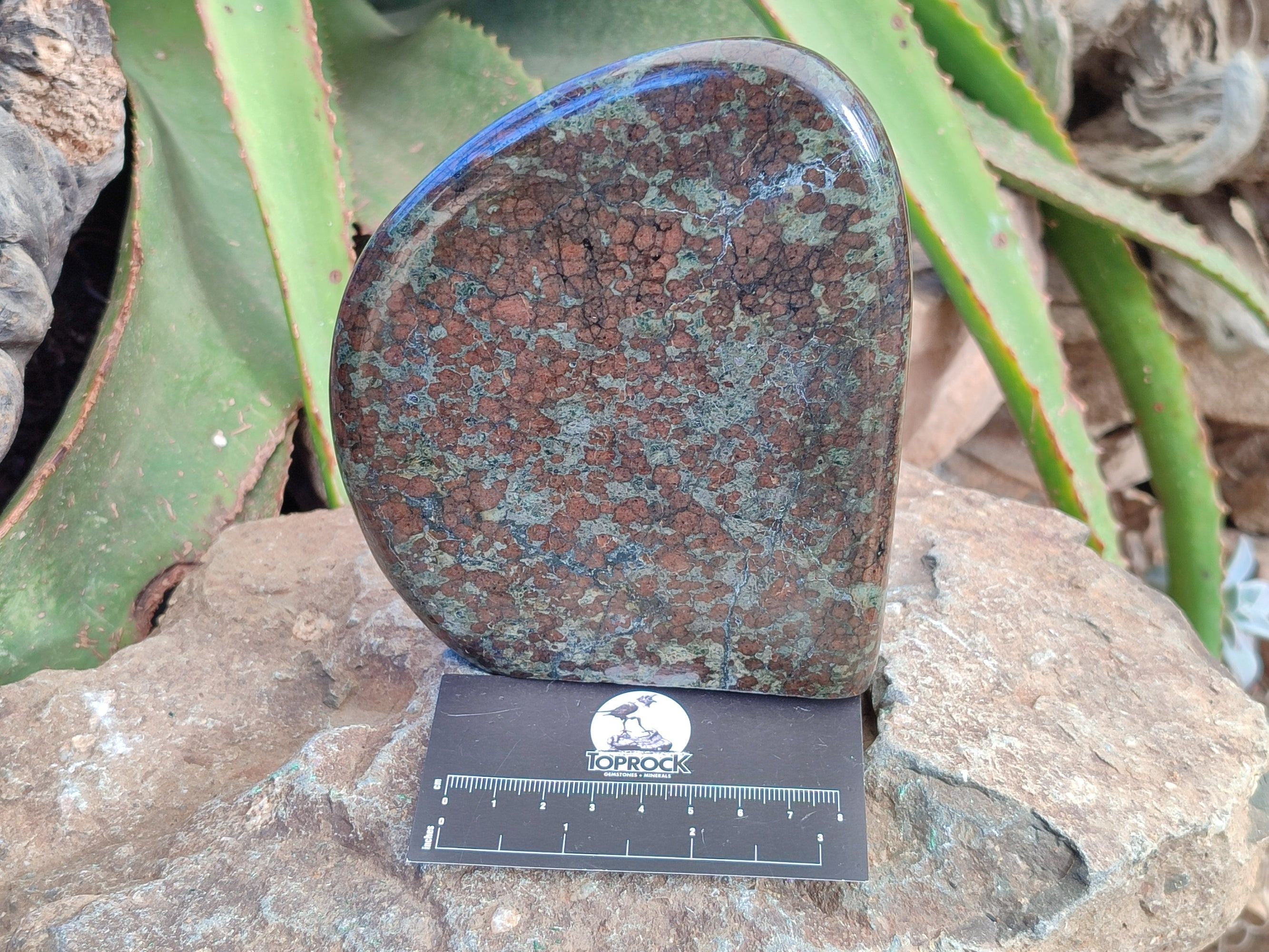 Polished Rare Eclogite Garnet Standing Free Form x 1 From Northern Cape, South Africa - Toprock Gemstones and Minerals 