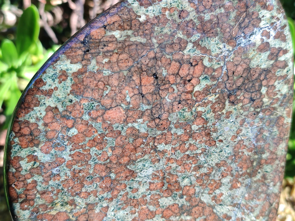 Polished Rare Eclogite Garnet Standing Free Form x 1 From Northern Cape, South Africa - Toprock Gemstones and Minerals 