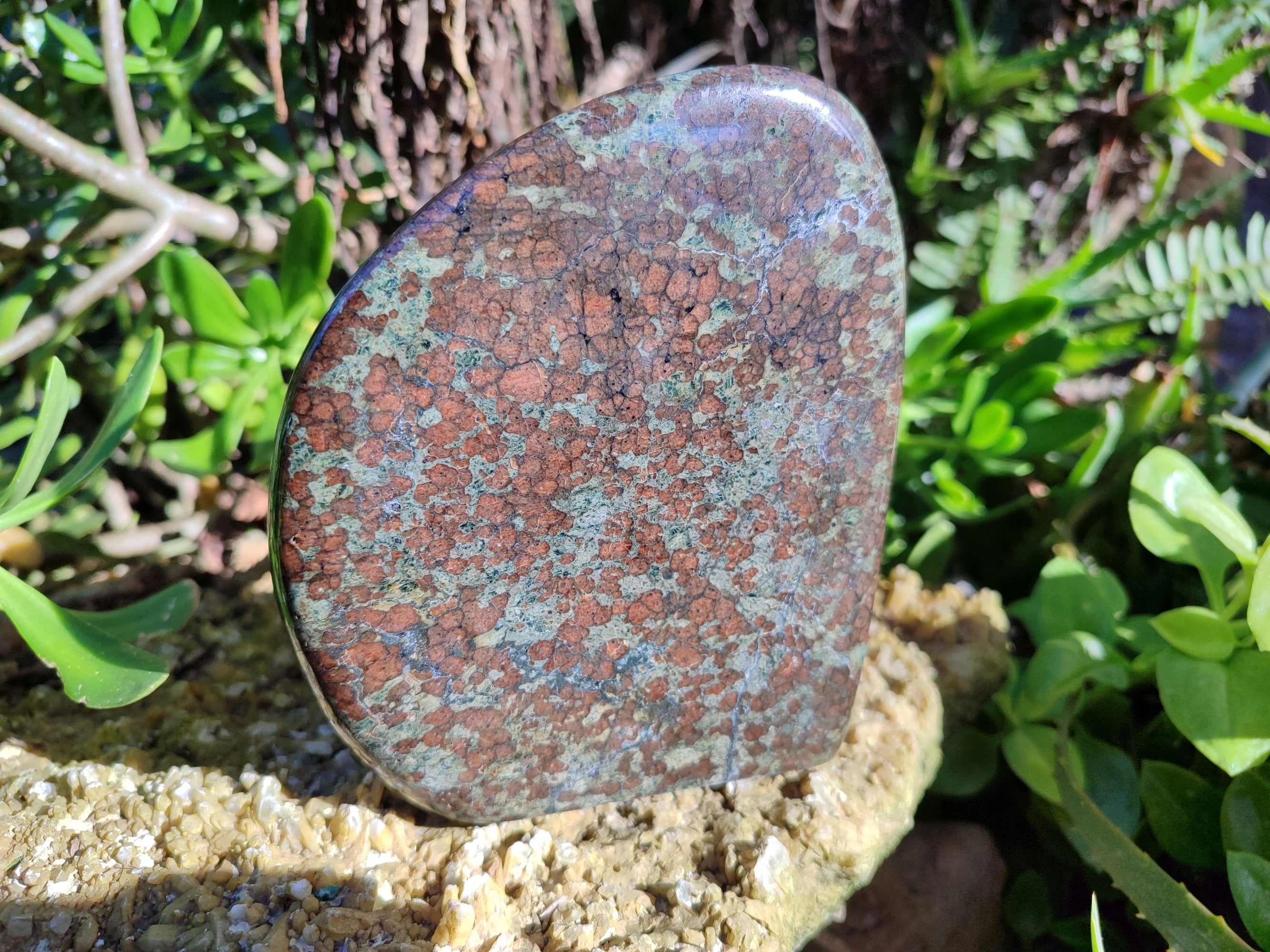 Polished Rare Eclogite Garnet Standing Free Form x 1 From Northern Cape, South Africa - Toprock Gemstones and Minerals 