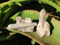 Natural Green Chlorite Centered Fairy Spirit Quartz Crystals x 43 From Madagascar - Toprock Gemstones and Minerals 