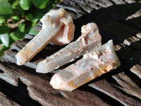 Natural Green Chlorite Centered Fairy Spirit Quartz Crystals x 43 From Madagascar - Toprock Gemstones and Minerals 