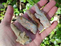Natural Green Chlorite Centered Fairy Spirit Quartz Crystals x 43 From Madagascar - Toprock Gemstones and Minerals 