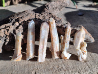 Natural Green Chlorite Centered Fairy Spirit Quartz Crystals x 43 From Madagascar - Toprock Gemstones and Minerals 