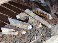 Natural Green Chlorite Centered Fairy Spirit Quartz Crystals x 43 From Madagascar - Toprock Gemstones and Minerals 