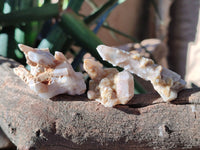 Natural Green Chlorite Centered Fairy Spirit Quartz Crystals x 43 From Madagascar - Toprock Gemstones and Minerals 