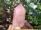 Polished Rose Quartz Crystal Points x 4 From Ambatondrazaka, Madagascar - Toprock Gemstones and Minerals 