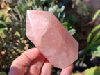 Polished Rose Quartz Crystal Points x 4 From Ambatondrazaka, Madagascar - Toprock Gemstones and Minerals 