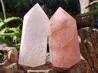 Polished Rose Quartz Crystal Points x 4 From Ambatondrazaka, Madagascar - Toprock Gemstones and Minerals 
