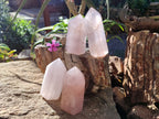 Polished Rose Quartz Crystal Points x 4 From Ambatondrazaka, Madagascar - Toprock Gemstones and Minerals 