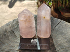Polished Rose Quartz Crystal Points x 4 From Ambatondrazaka, Madagascar - Toprock Gemstones and Minerals 