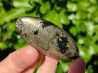 Polished Rare Pharaoh Stone Pyrite in Basalt Palm Stones x 12 Iron Duke Mine, Zimbabwe - Toprock Gemstones and Minerals 