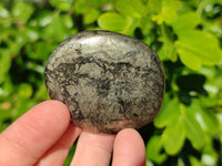 Polished Rare Pharaoh Stone Pyrite in Basalt Palm Stones x 12 Iron Duke Mine, Zimbabwe - Toprock Gemstones and Minerals 